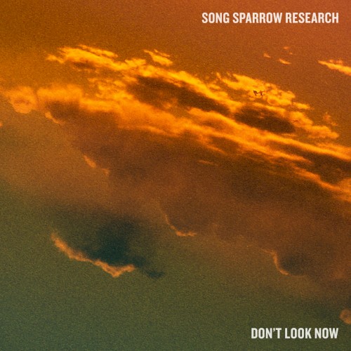Don't Look Now