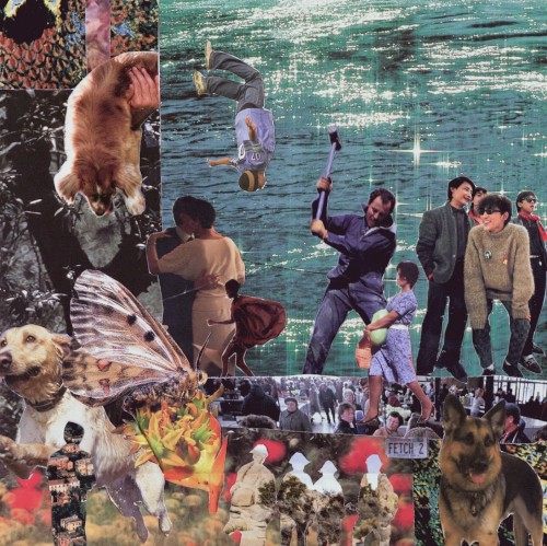 DEAD DOG PARADISE (OR LIFE LIKE PARASITES?)