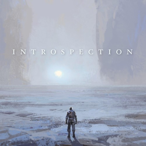 Introspection