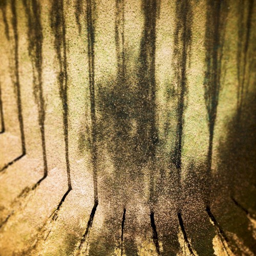 Fathom