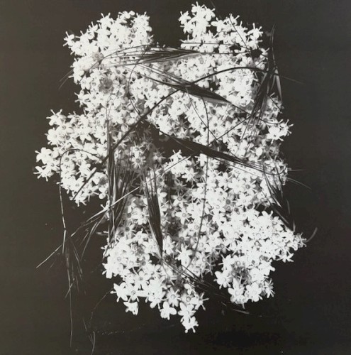 Membrane &ndash; Deathly Silence