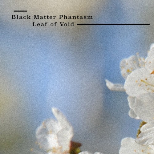 Leaf Of Void