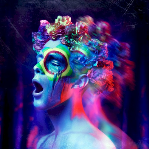 Wonderland