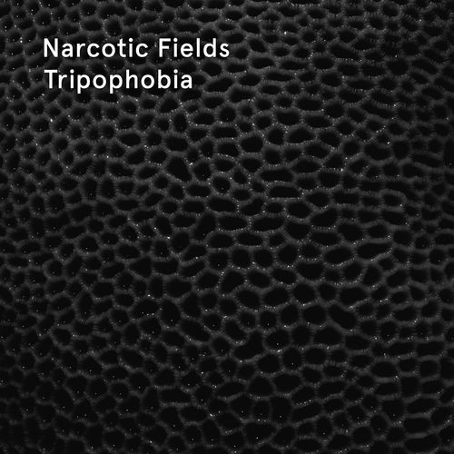 Tripophobia