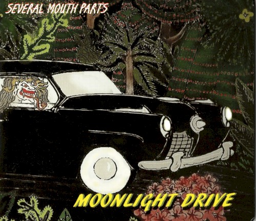 Moonlight Drive
