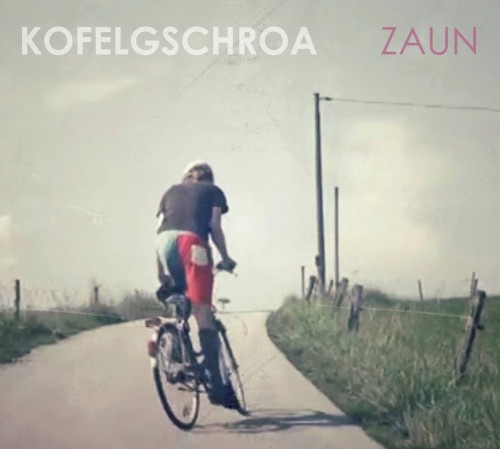 Zaun