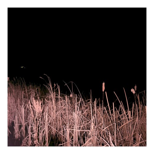 november.