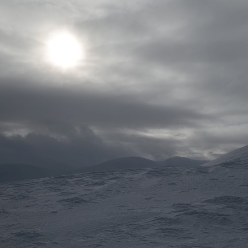Sayir