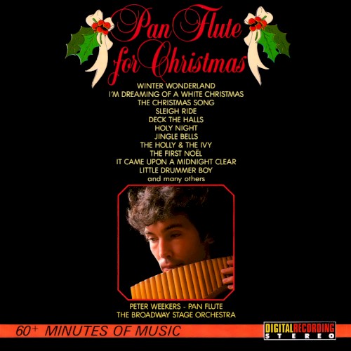 Pan Flute for Christmas