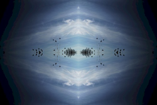 Δίοδες|Diodes