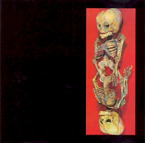 Copula