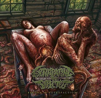 Reborn In Putrefaction