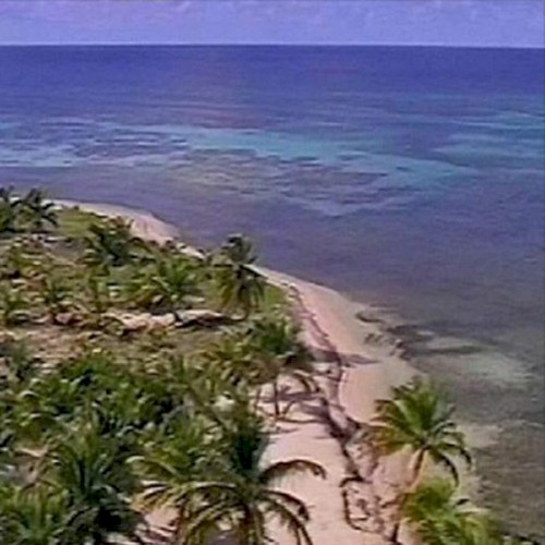 tropics