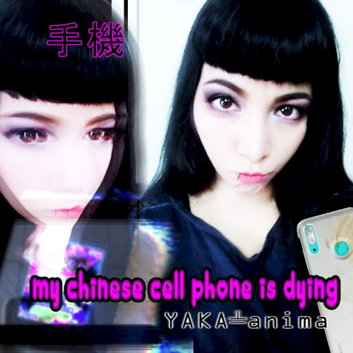 My Chinese Cell Phone is Dying
