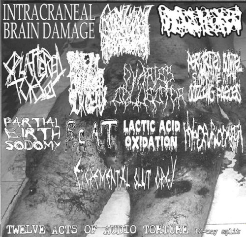 Twelve Acts Of Audio Torture 12 Way Split