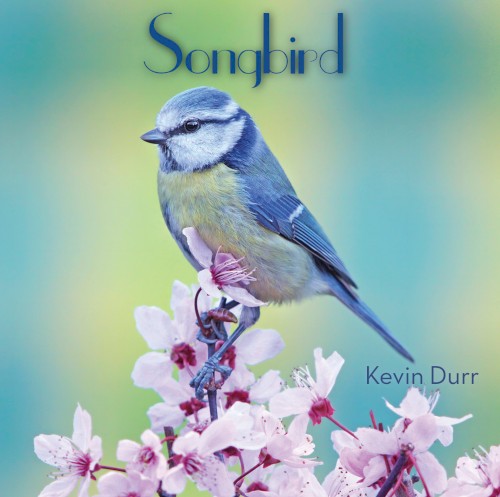 Songbird