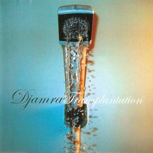 Transplantation