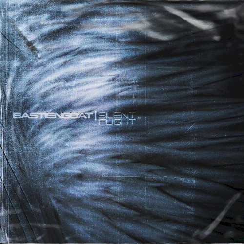 SILENT FLIGHT