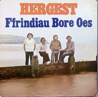 Ffrindiau Bore Oes