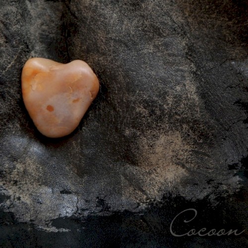 Cocoon