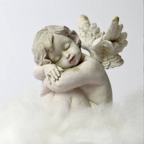 An Angel name of Rose.