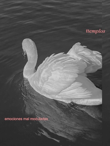 Emociones Mal Moduladas