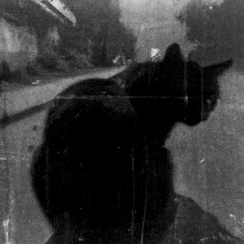 It Looks at You IV