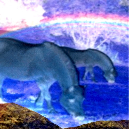 Pony