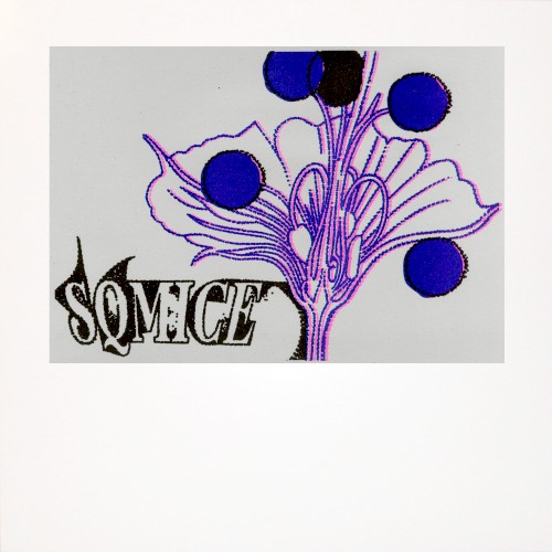 SQ Mice &ndash; SQ Mice