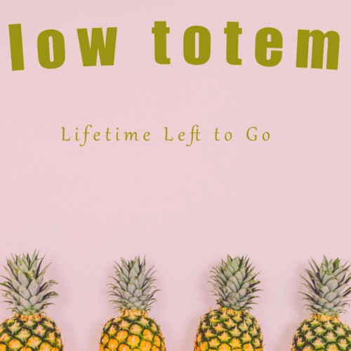 Lifetime Left to Go