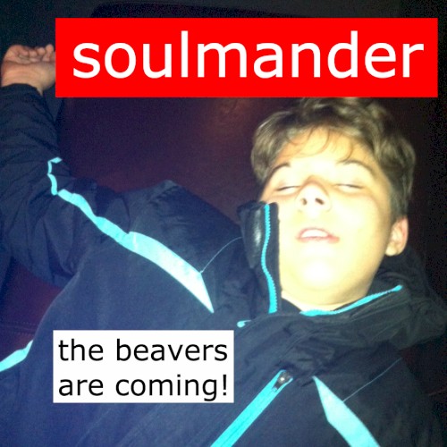 The Beavers Are Coming!