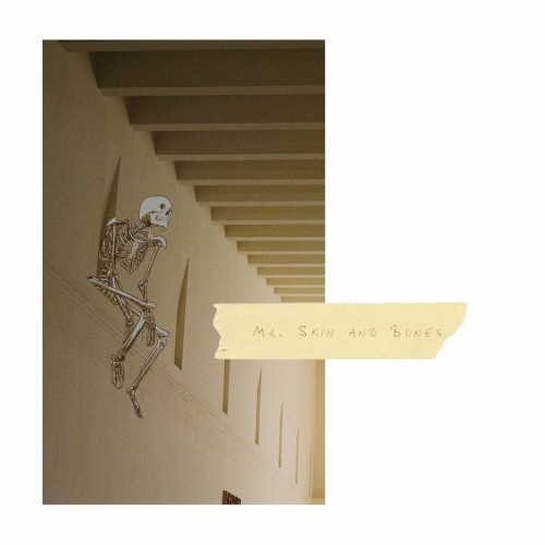 Mr. Skin and Bones