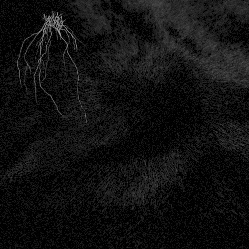 VII: Warmth Within Endless Emptiness