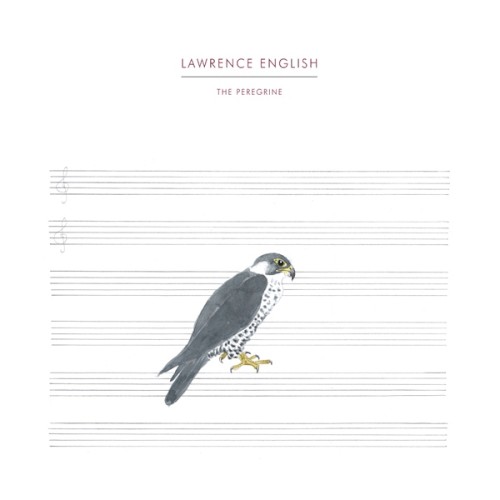 The Peregrine