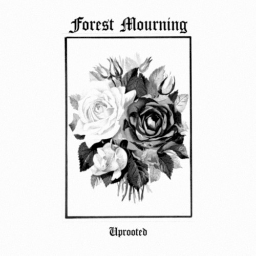 Uprooted