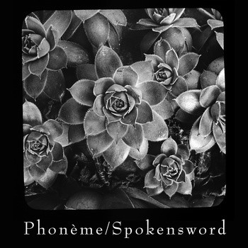 Sempervivum