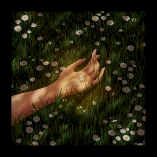 Blooming