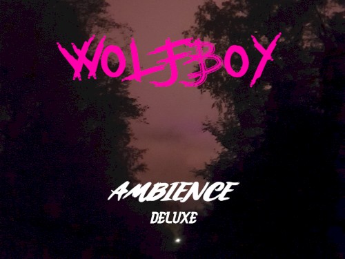 Ambience Deluxe