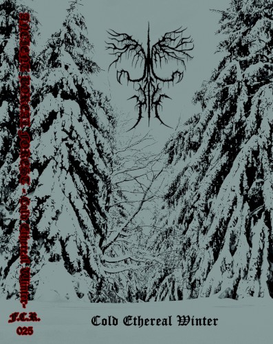 Cold Ethereal Winter