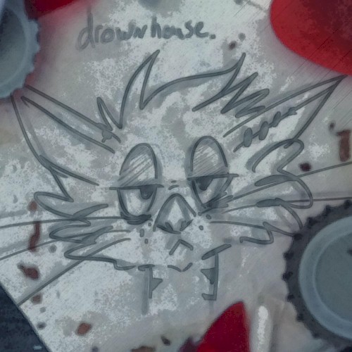 Drownhouse