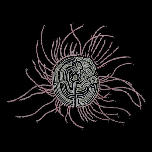 Bearings: Soundtracks for the Bardos
