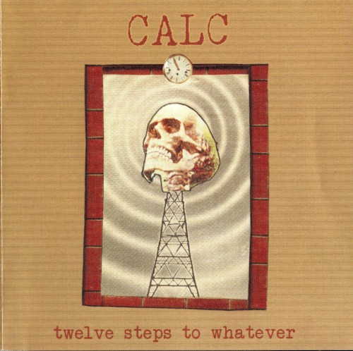 Twelve Steps to Whatever