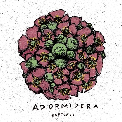 A d o r m i d e r a