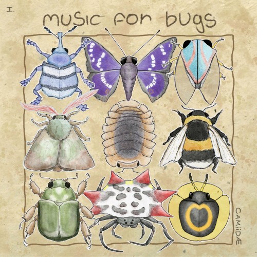 music for bugs