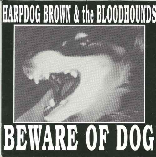 Beware of Dog