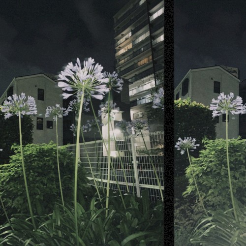 Qualia Vol.1