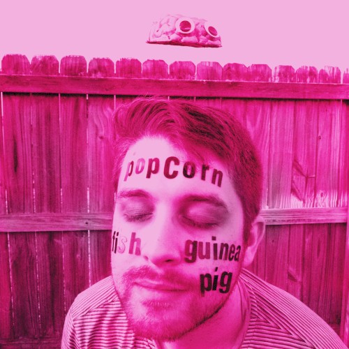 Popcorn Fish Guinea Pig