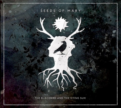 The Blackbird and the Dying Sun