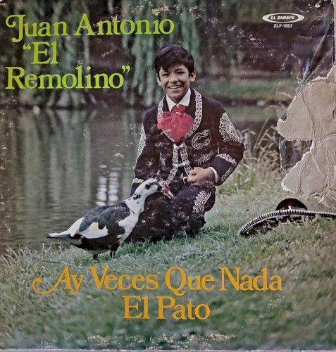 Ay veces que nada, el pato