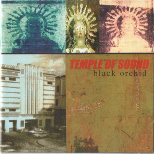 Black Orchid